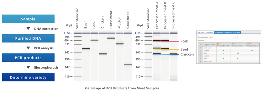 multiNA II MCE-301 Shimadzu