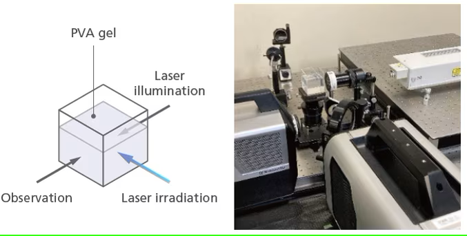 Expansion and Contraction of Bubbles in Polyvinyl Alcohol (PVA) Gel
