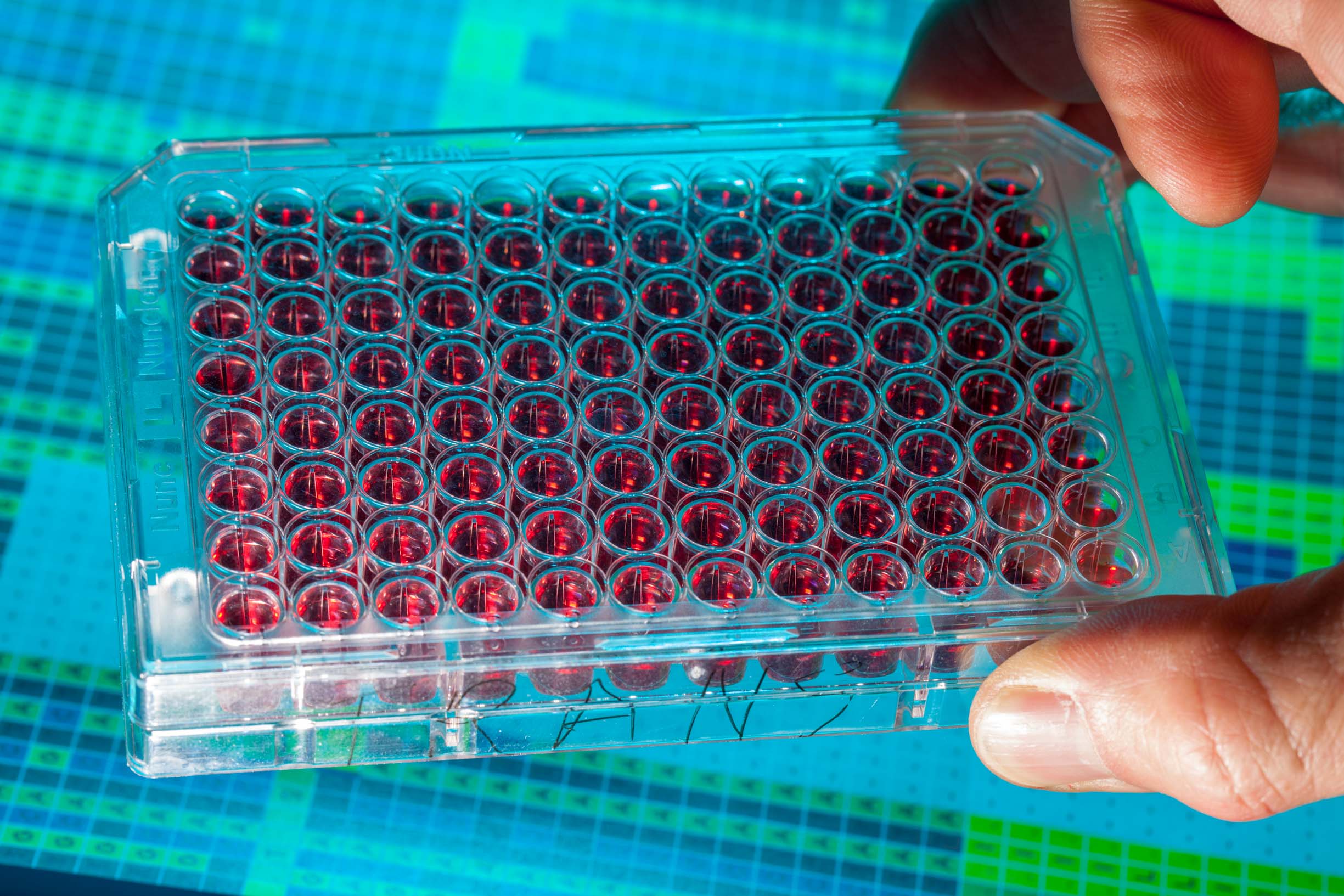 Cell Culture & Cell Culture Media Analysis / C2MAP SHIMADZU EUROPA