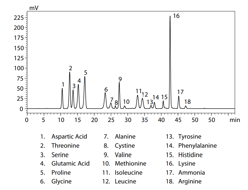 Amino Acids SHIMADZU EUROPA