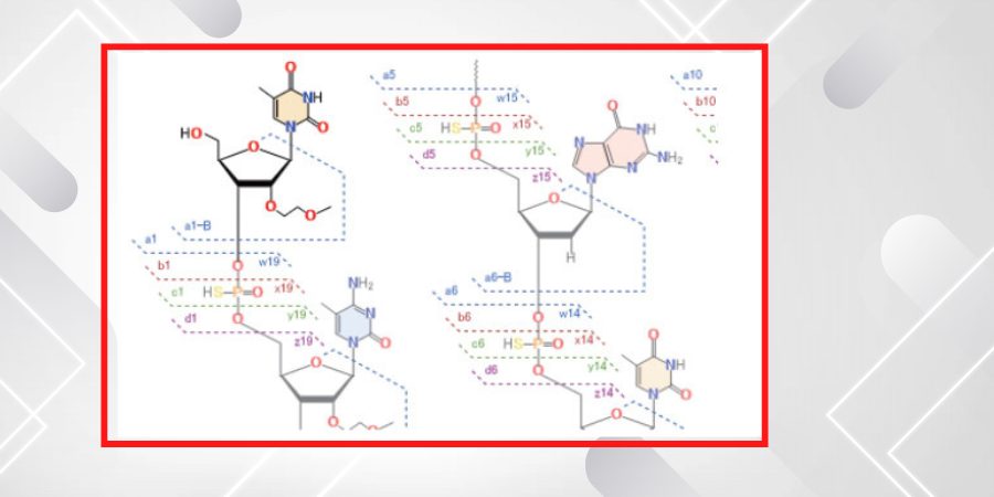 LabSolutions Insight Biologics