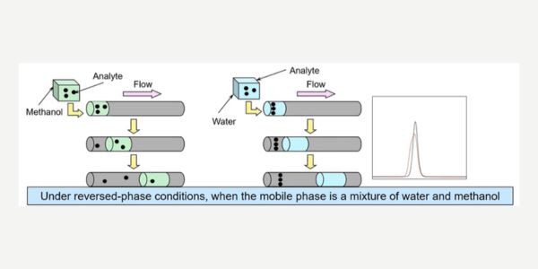 Diagram showing how sample solvent strength affects chromatographic peak shape, with methanol causing peak distortion and water producing a sharper, symmetrical peak under reversed-phase conditions.