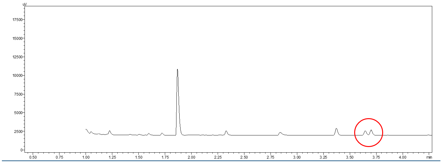 Chromatogram 2