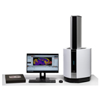 MALDI Imaging